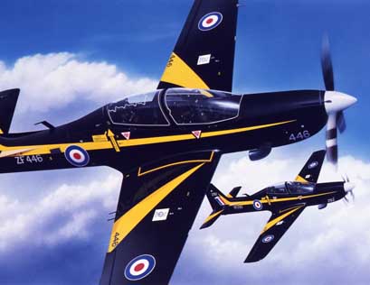 Depicted in the black and yellow markings of No.1 Flight Training School.